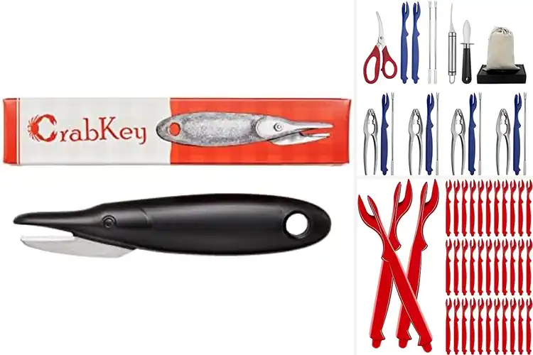 Detailed view of 9 Best All-In-One Crab Knives for Effortless Feasts