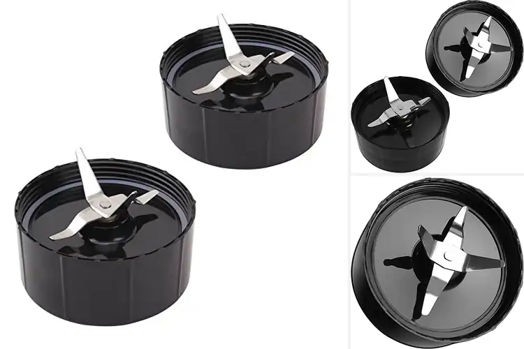 Detailed view of Best Blender Cross Blades