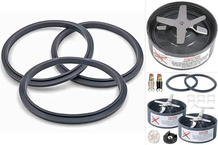 Detailed view of Best Budget Nutribullet Replacement Part