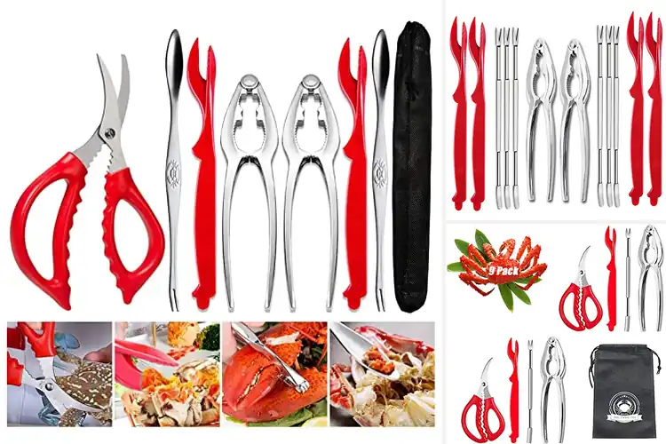 Detailed view of 10 Best Claw Openers for Effortless Seafood Nights