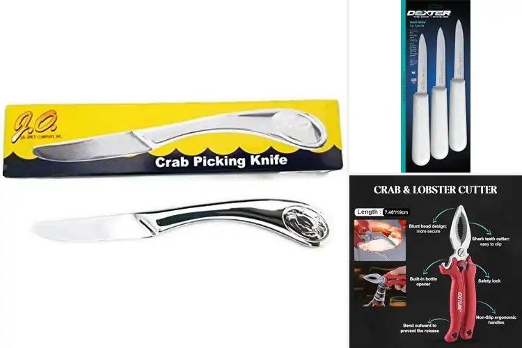Detailed view of 10 Best Crab Picking Knives for Effortless Seafood Enjoyment