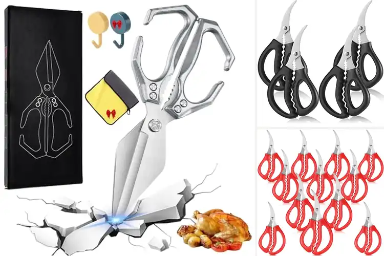 Detailed view of 10 Best Crab Shears for Easy Shell Cracking