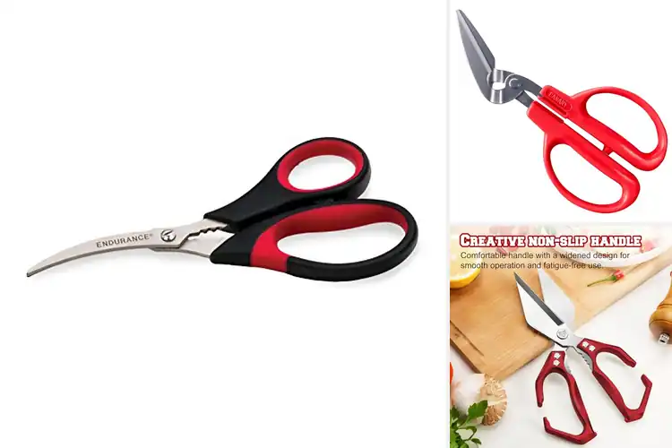 Detailed view of 10 Best Deboning Scissors for Seafood: Effortless Cutting