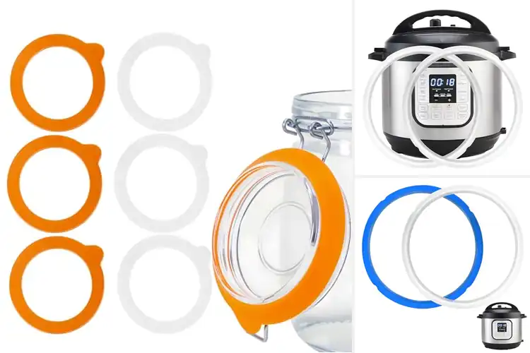 Detailed view of Best Easy Clean Gasket Rings: Airtight & Hassle-Free