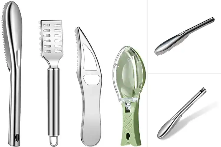 Detailed view of 10 Best Fish Scale Removers: Save Time and Mess in Your Kitchen