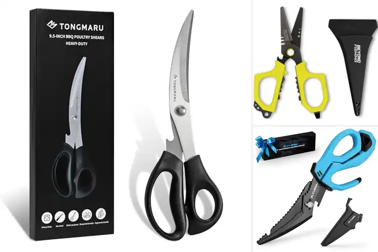Detailed view of 10 Best Fish Scale Scissors: Effortless Cleaning for Your Catch