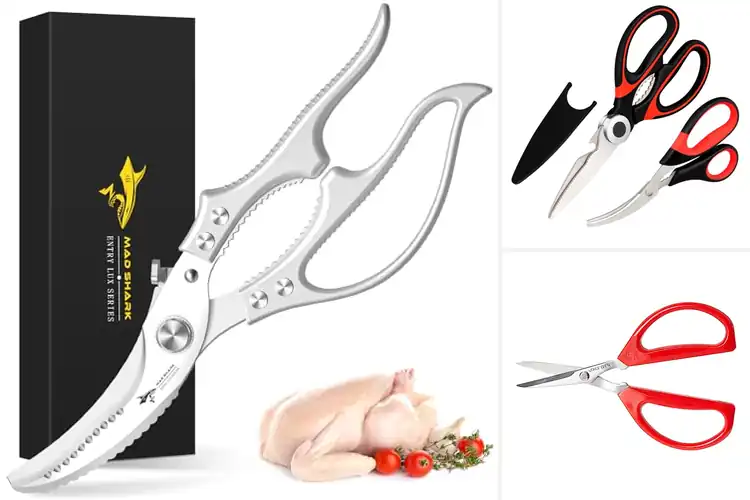 Detailed view of 10 Best Fish Scissors: Make Fish Cutting Easier & Faster