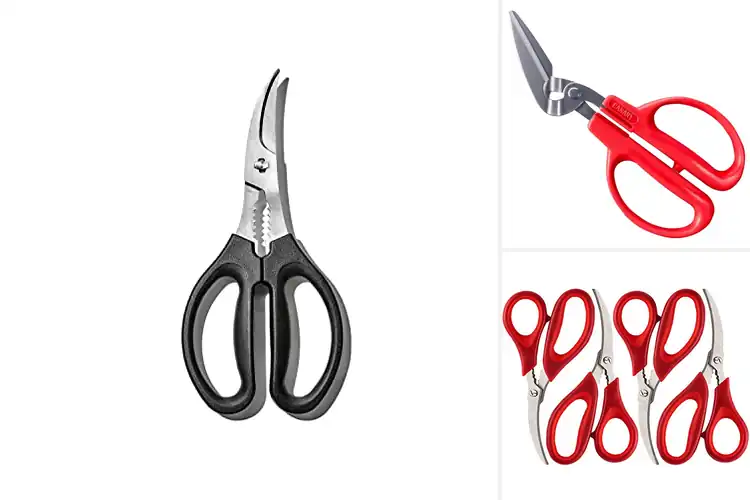 Detailed view of 10 Best Heavy Duty Seafood Scissors – Cut Faster, Cleaner