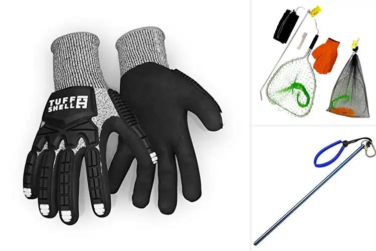 Detailed view of 10 Best Lobster Diving Tools for Bigger, Safer Catches