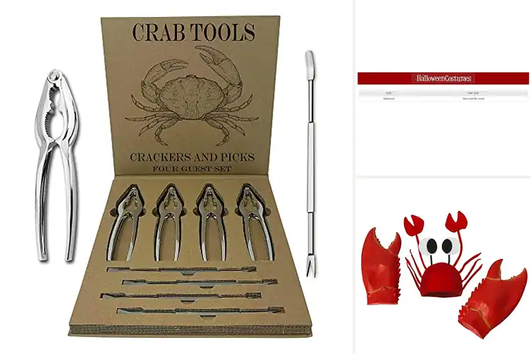 Detailed view of 10 Best Lobster Kits for Creative Fun and Unique Crafts