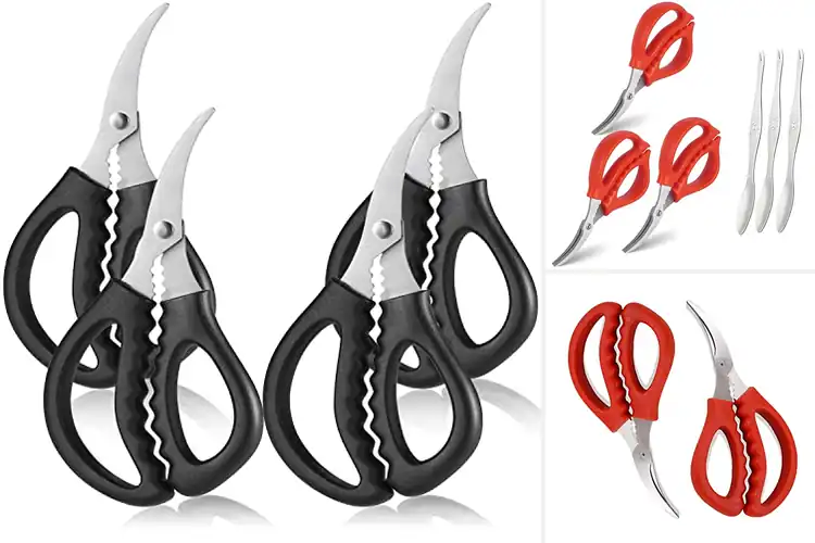 Detailed view of 10 Best Multi Purpose Seafood Scissors for Easy Cooking