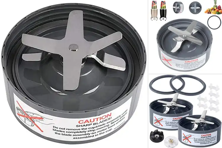 Detailed view of Best NutriBullet Blades