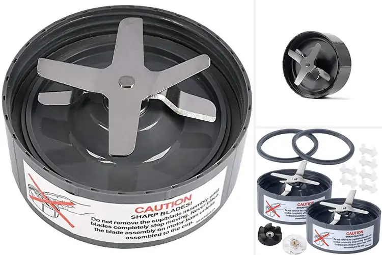 Detailed view of Best NutriBullet Extractor Blades
