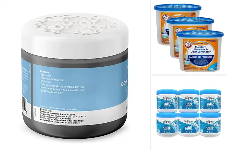 Detailed view of 10 Best Odor Eliminators for Fresh Pet-Free Homes