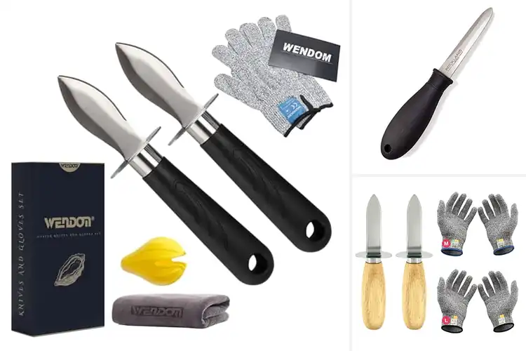 Detailed view of 10 Best Oysters Shucking Tools for Safe & Effortless Shelling