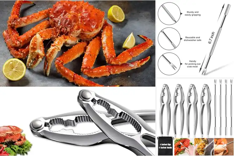 Detailed view of 10 Best Portable Seafood Kits for Effortless Feasting
