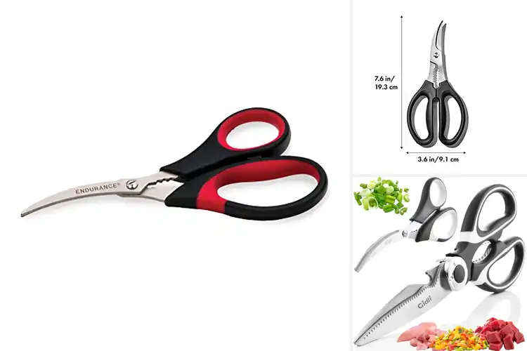 Detailed view of 10 Best Prawn Scissors for Effortless Prep