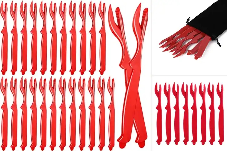 Detailed view of 10 Best Prawns Sheller Tools to Peel Quickly & Cleanly