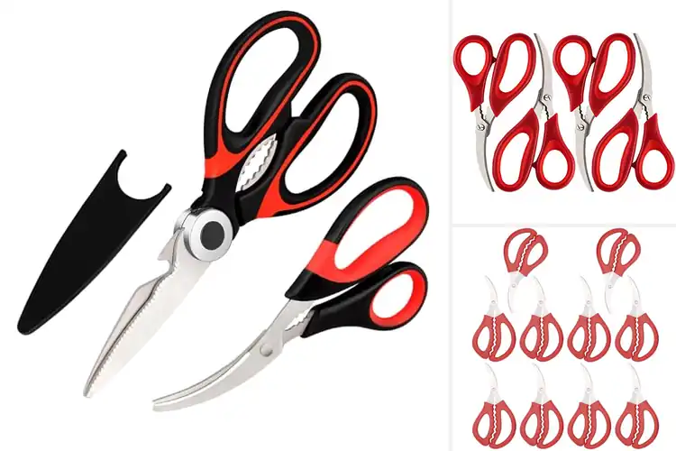 Detailed view of 10 Best Rust Resistant Seafood Scissors Sets for Effortless Prep