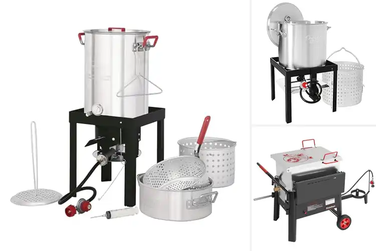 Detailed view of 10 Best Seafood Cookers for Fast, Flavor-Packed Feasts