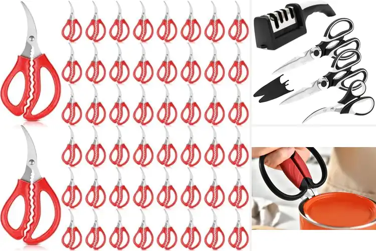 Detailed view of 10 Best Seafood Scissors for Easy & Efficient Prep
