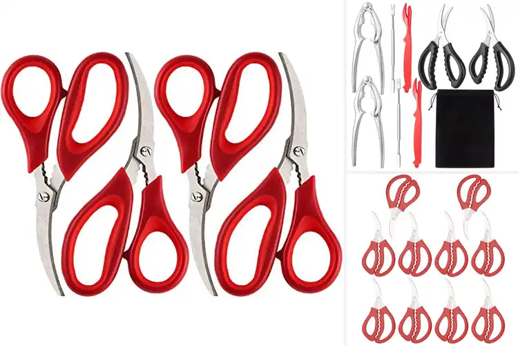 Detailed view of 10 Best Seafood Scissors Sets for Effortless Crab Shelling