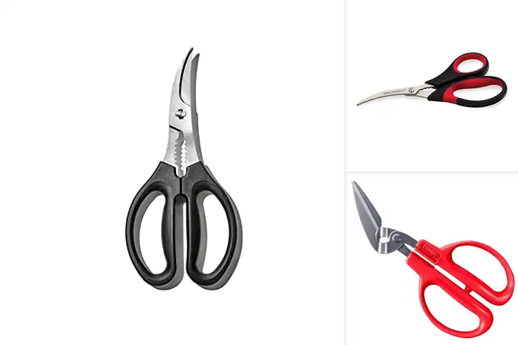 Detailed view of 10 Best Seafood Shears: Effortless Cracking & Prepping