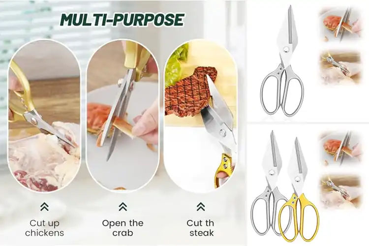 Detailed view of 10 Best Seafood Shears Sets for Effortless Shell Cutting