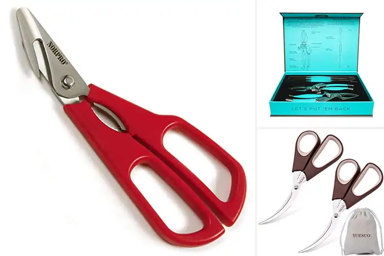 Detailed view of 10 Best Shellfish Cutters for Effortless Seafood Prep