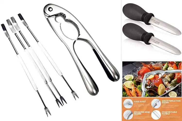 Detailed view of 10 Best Shellfish Openers for Effortless Seafood Enjoyment