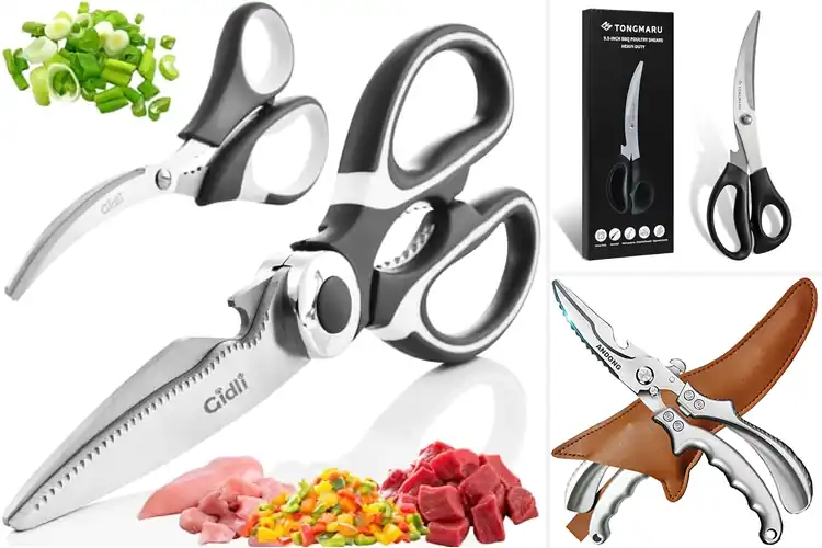 Detailed view of 10 Best Shellfish Scissors for Effortless Seafood Prep