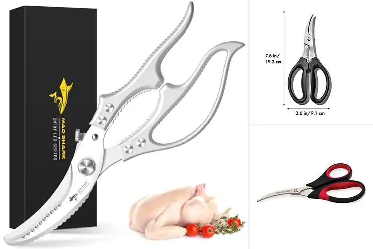 Detailed view of 10 Best Shellfish Shears for Effortless Seafood Prep