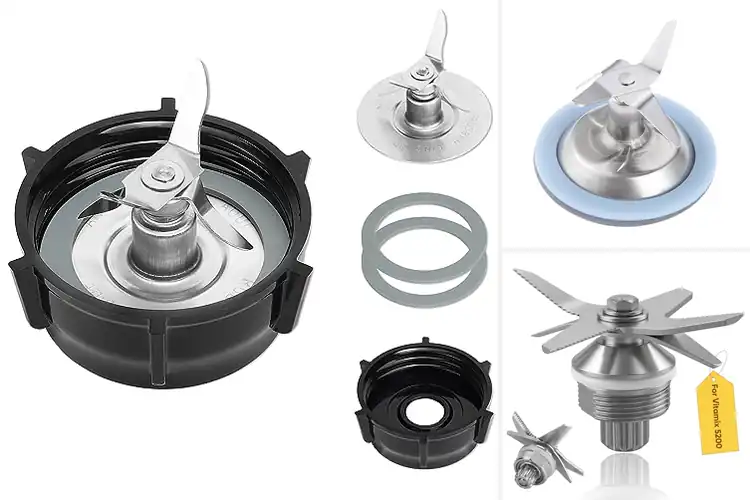 Detailed view of Best Stainless Steel Blender Blades