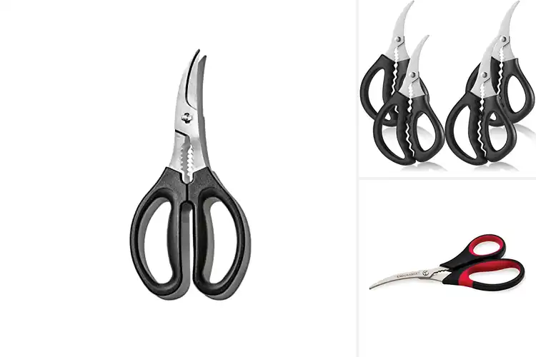 Detailed view of 10 Best Stainless Steel Seafood Scissors – Easy Shell Prep