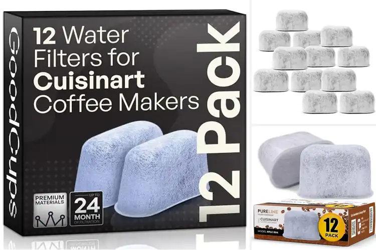 Detailed view of Best Value Charcoal Filter Replacements