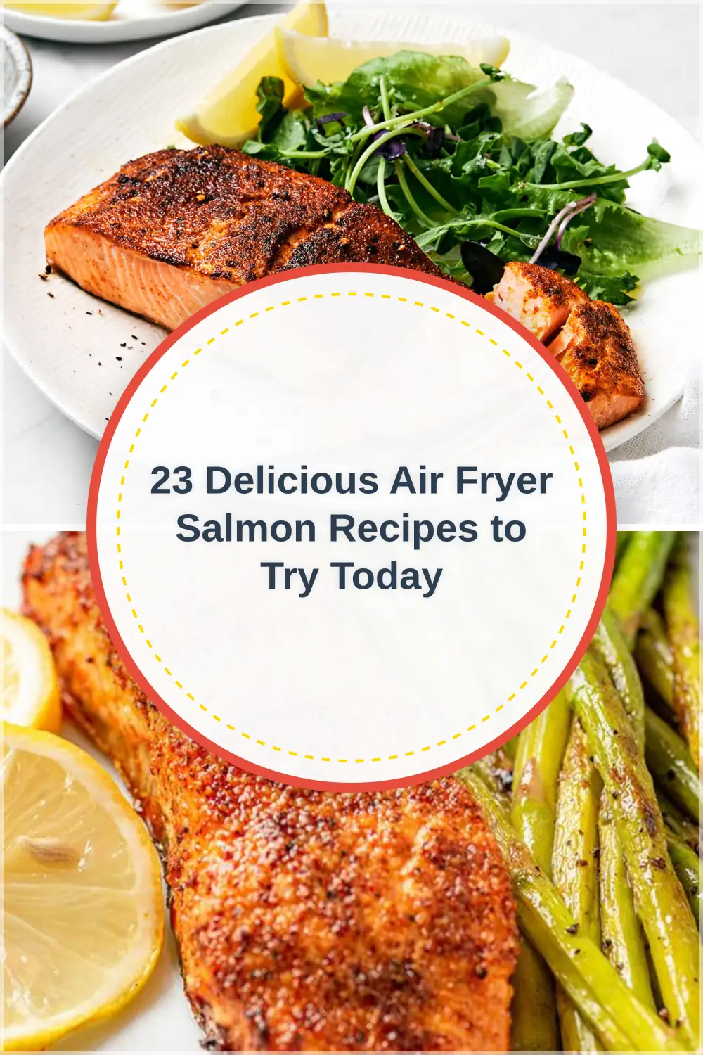 Photo of 23 Delicious Air Fryer Salmon Recipes to Try Today