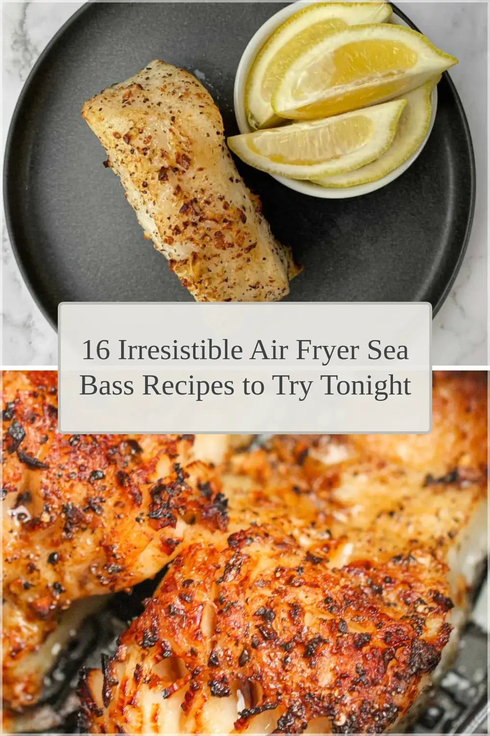 Photo of 16 Irresistible Air Fryer Sea Bass Recipes to Try Tonight