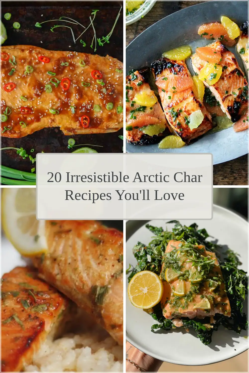 Photo of 20 Irresistible Arctic Char Recipes You’ll Love
