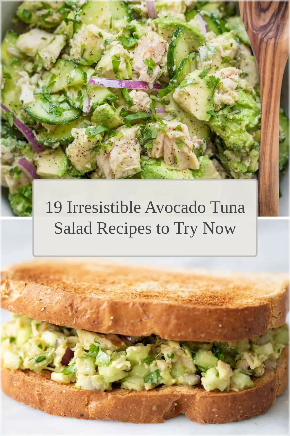 Photo of 19 Irresistible Avocado Tuna Salad Recipes to Try Now
