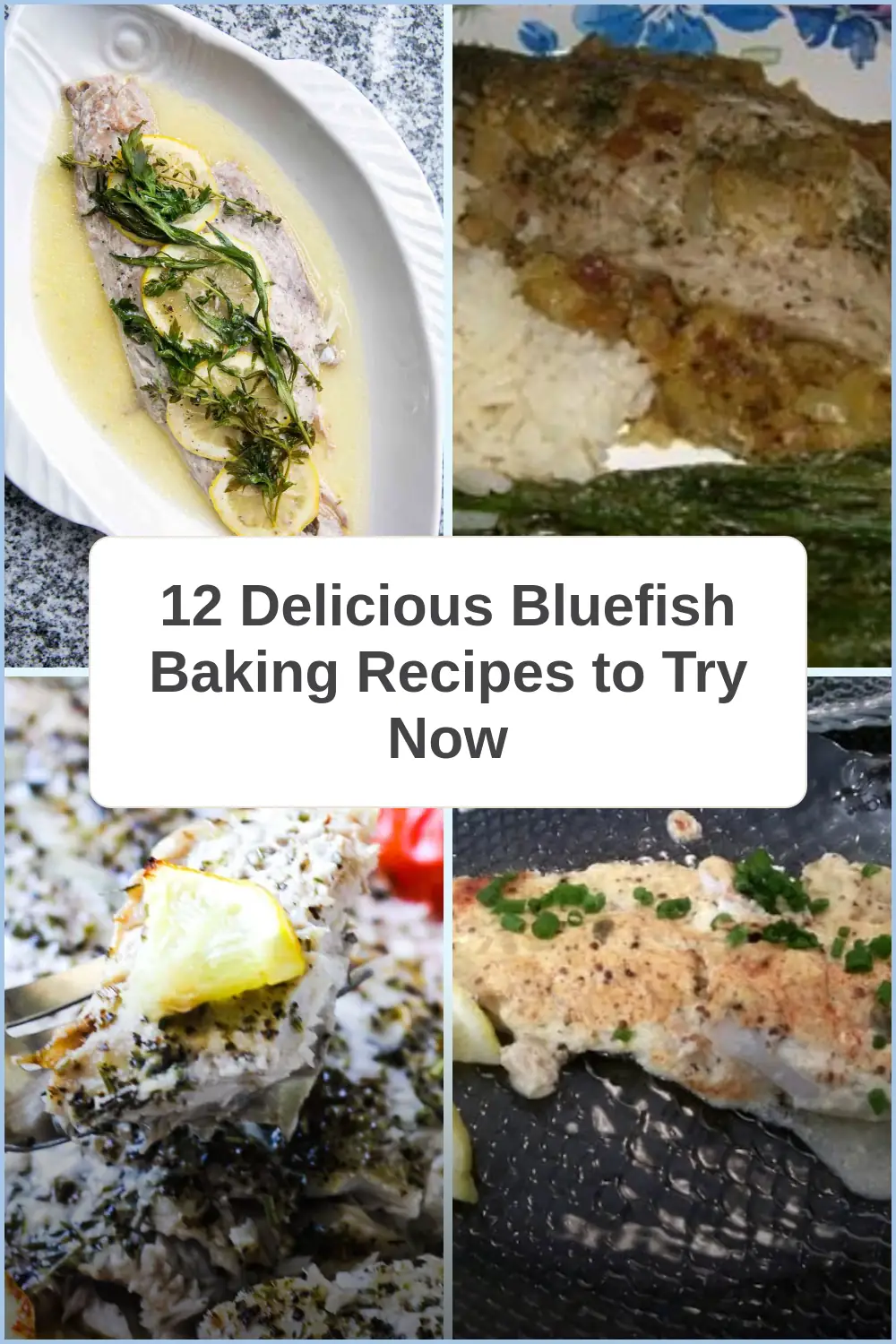 Photo of 12 Delicious Bluefish Baking Recipes to Try Now