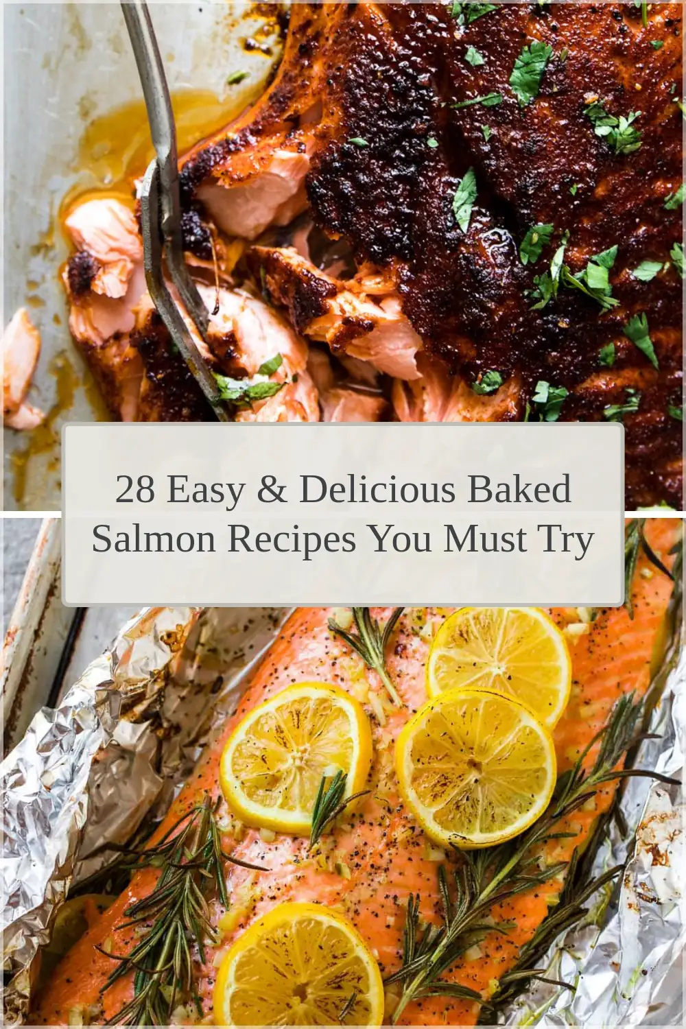 Photo of 28 Easy & Delicious Baked Salmon Recipes You Must Try