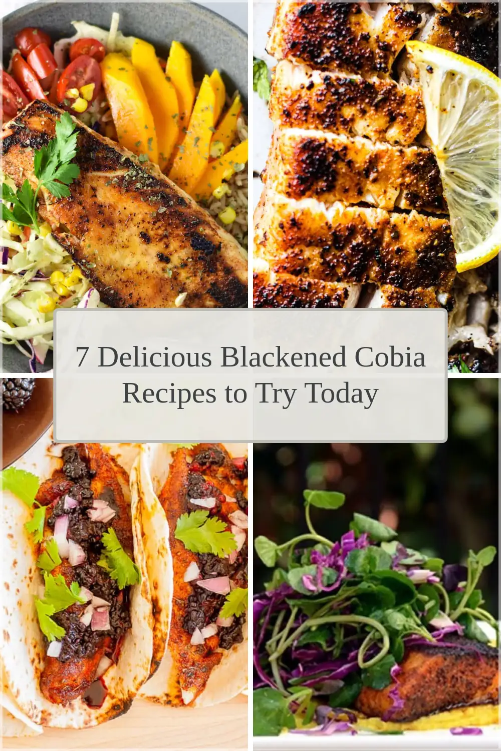 Photo of 7 Delicious Blackened Cobia Recipes to Try Today