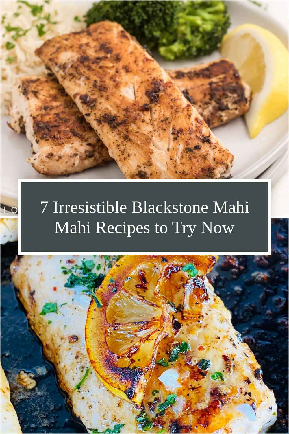 Photo of 7 Irresistible Blackstone Mahi Mahi Recipes to Try Now
