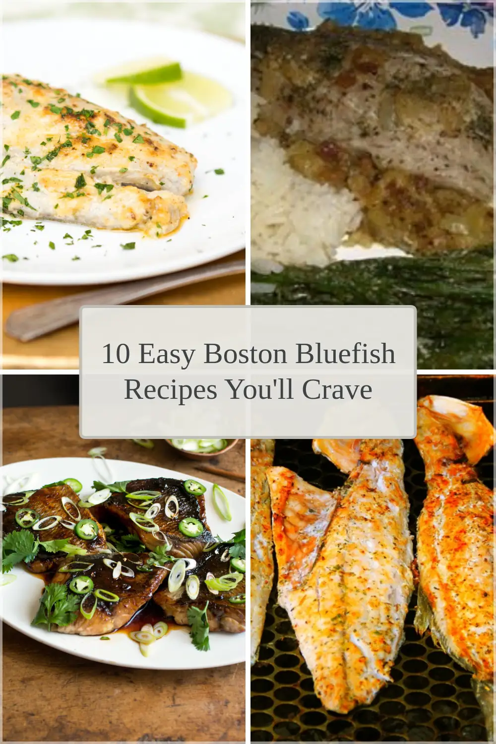 Photo of 10 Easy Boston Bluefish Recipes You’ll Crave