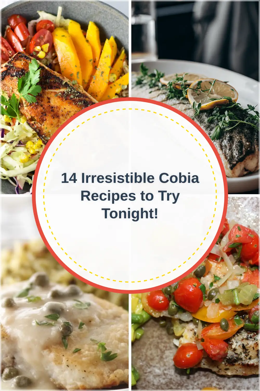 Photo of 14 Irresistible Cobia Recipes to Try Tonight!