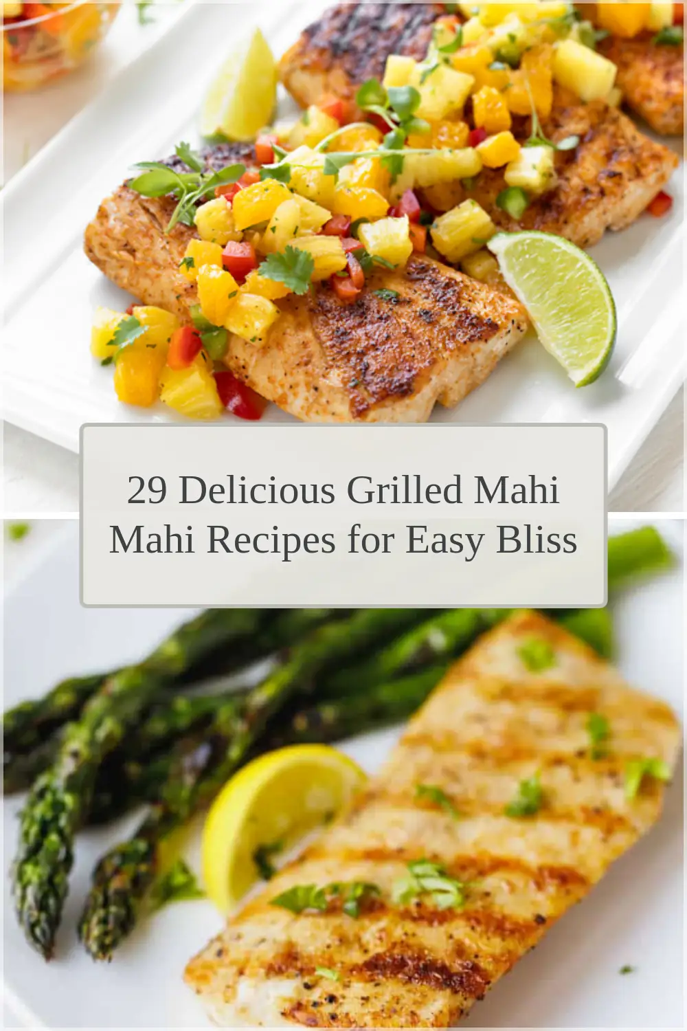 Photo of 29 Delicious Grilled Mahi Mahi Recipes for Easy Bliss