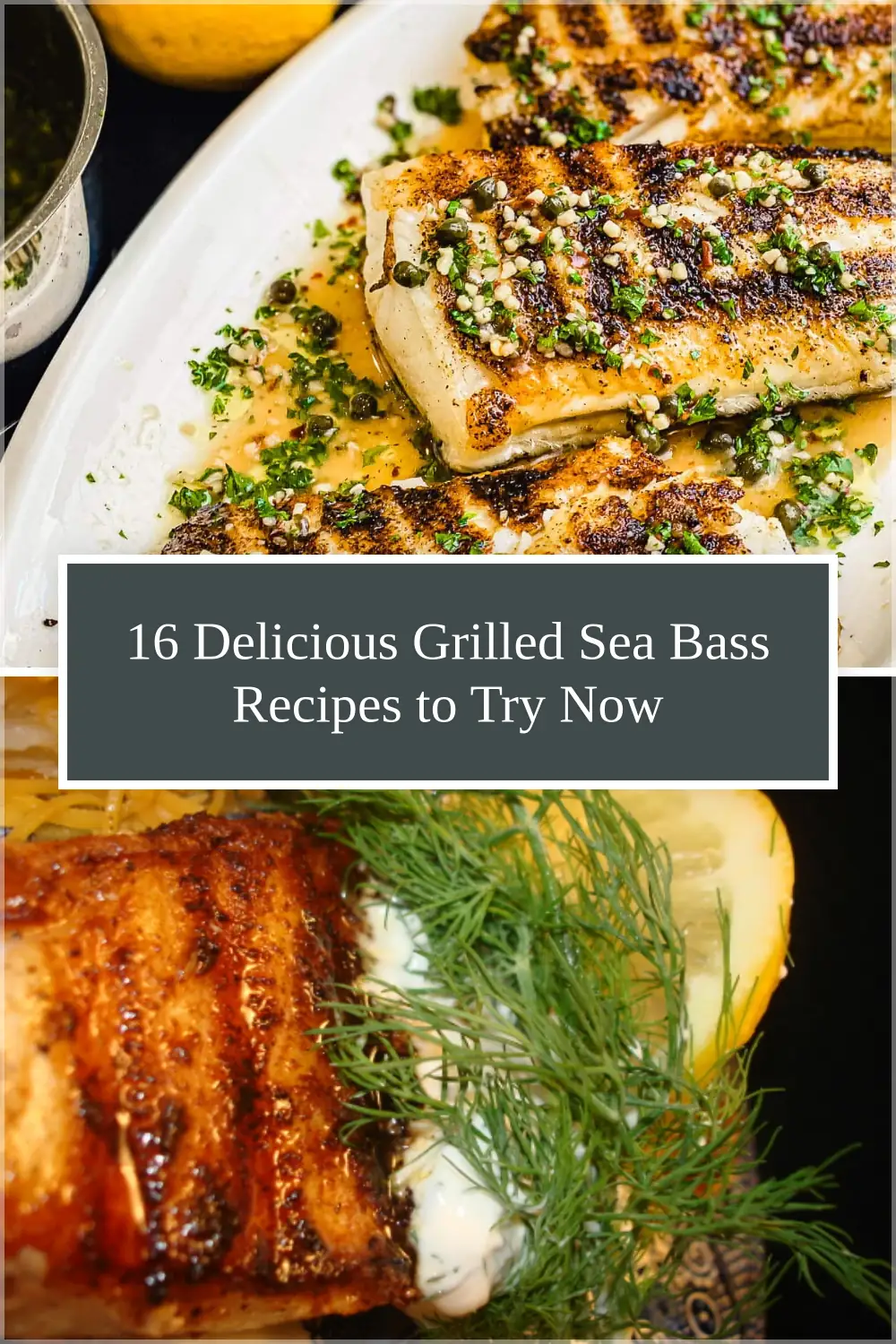 Photo of 16 Delicious Grilled Sea Bass Recipes to Try Now