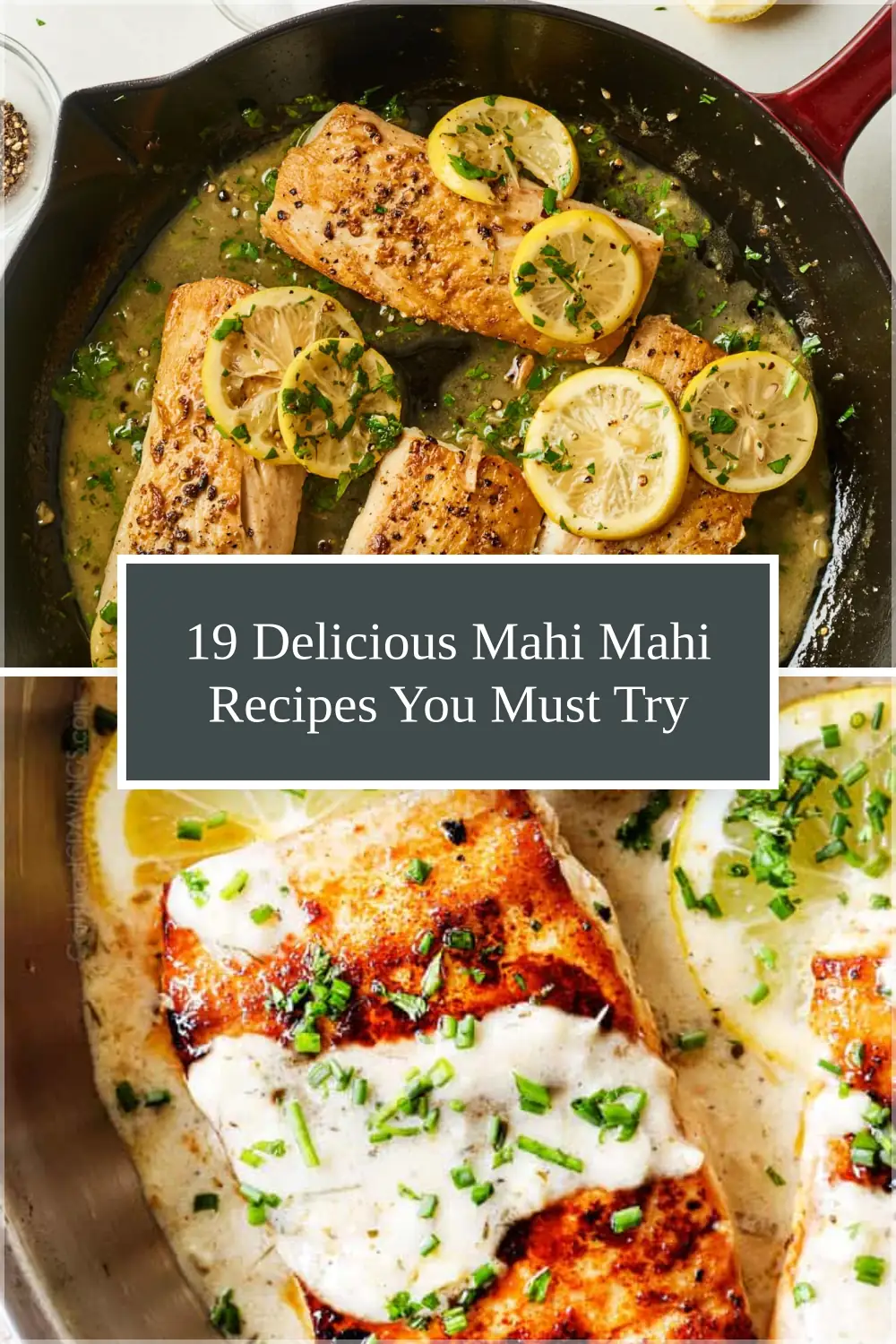 Photo of 19 Delicious Mahi Mahi Recipes You Must Try