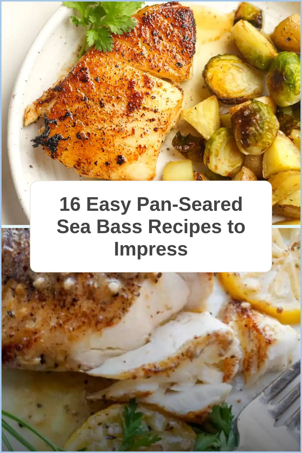 Photo of 16 Easy Pan-Seared Sea Bass Recipes to Impress