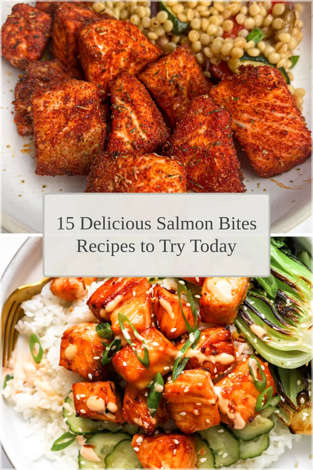 Photo of 15 Delicious Salmon Bites Recipes to Try Today